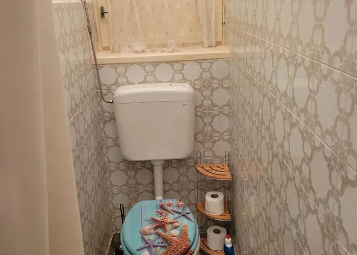 Madona * שיבניק